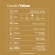 Café Especial Camilo Yellow 250g